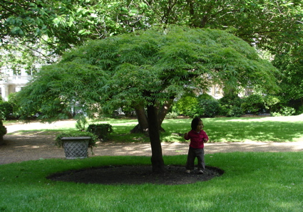 19 May.jpg